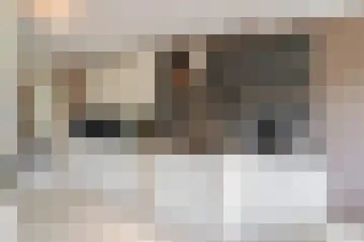 Guus Reitsmahof 11 Oegstgeest thumbnail 19
