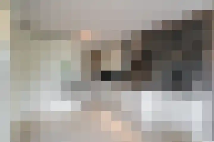 Guus Reitsmahof 11 Oegstgeest thumbnail 20