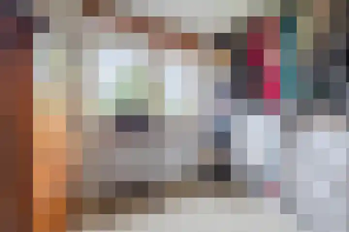 Guus Reitsmahof 11 Oegstgeest thumbnail 28