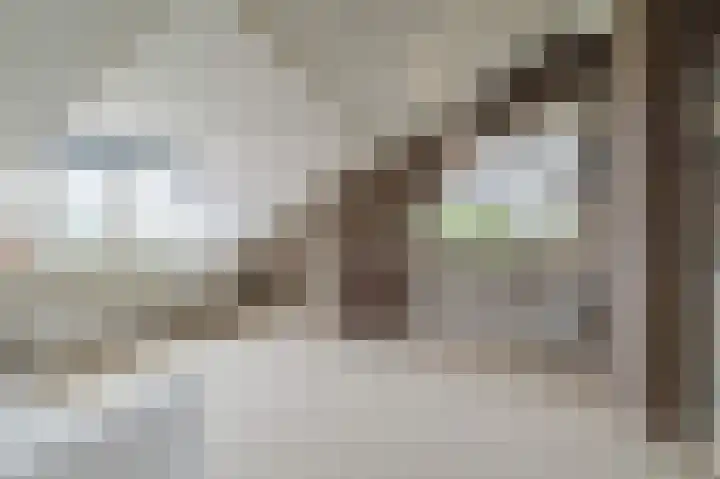 Guus Reitsmahof 11 Oegstgeest thumbnail 31