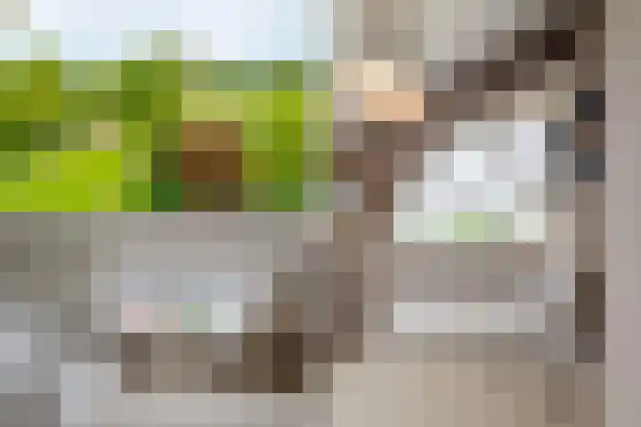 Guus Reitsmahof 11 Oegstgeest thumbnail 32