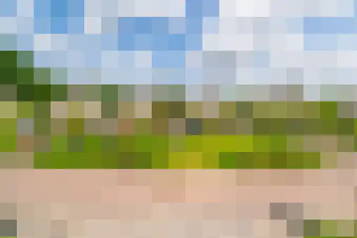 Guus Reitsmahof 11 Oegstgeest thumbnail 36