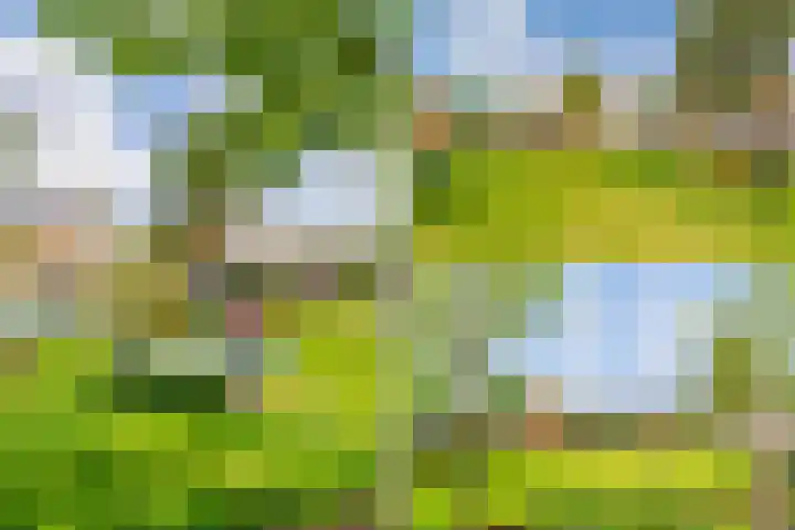 Guus Reitsmahof 11 Oegstgeest thumbnail 37