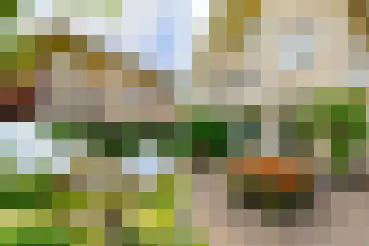 Guus Reitsmahof 11 Oegstgeest thumbnail 38