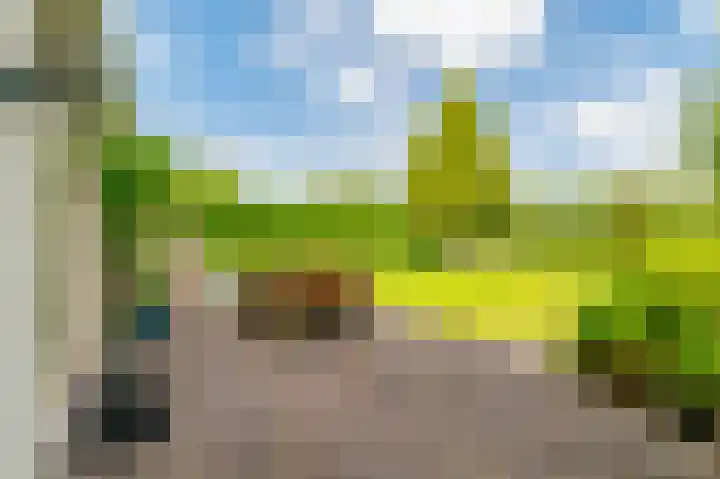 Guus Reitsmahof 11 Oegstgeest thumbnail 39