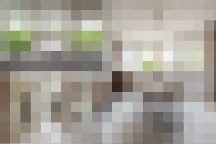 Guus Reitsmahof 11 Oegstgeest thumbnail 4