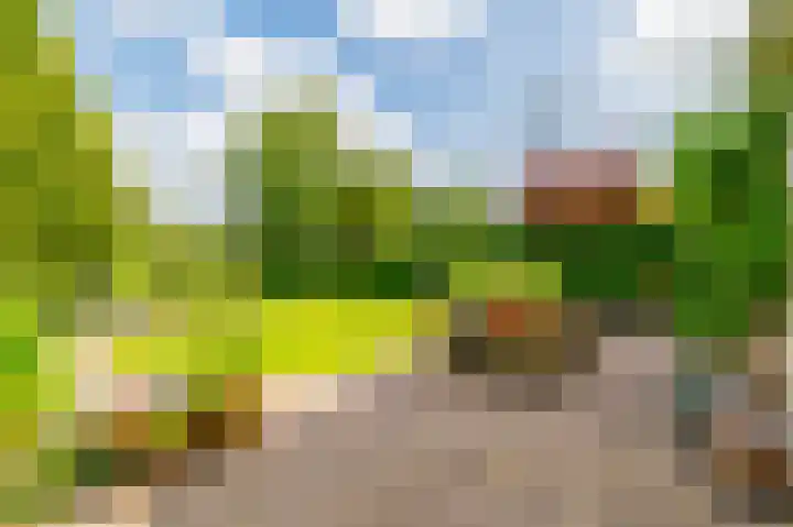 Guus Reitsmahof 11 Oegstgeest thumbnail 40