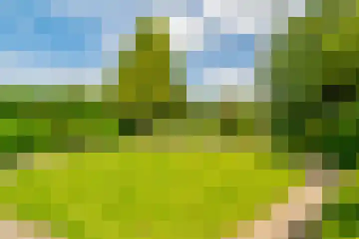 Guus Reitsmahof 11 Oegstgeest thumbnail 41