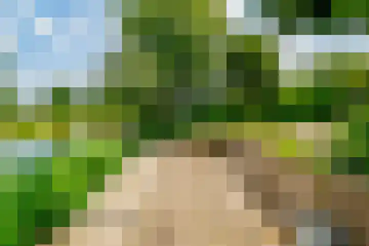 Guus Reitsmahof 11 Oegstgeest thumbnail 43