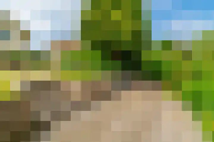 Guus Reitsmahof 11 Oegstgeest thumbnail 44