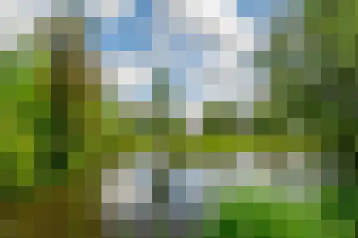 Guus Reitsmahof 11 Oegstgeest thumbnail 45