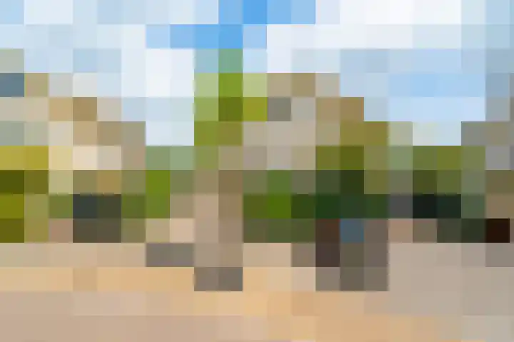 Guus Reitsmahof 11 Oegstgeest thumbnail 47