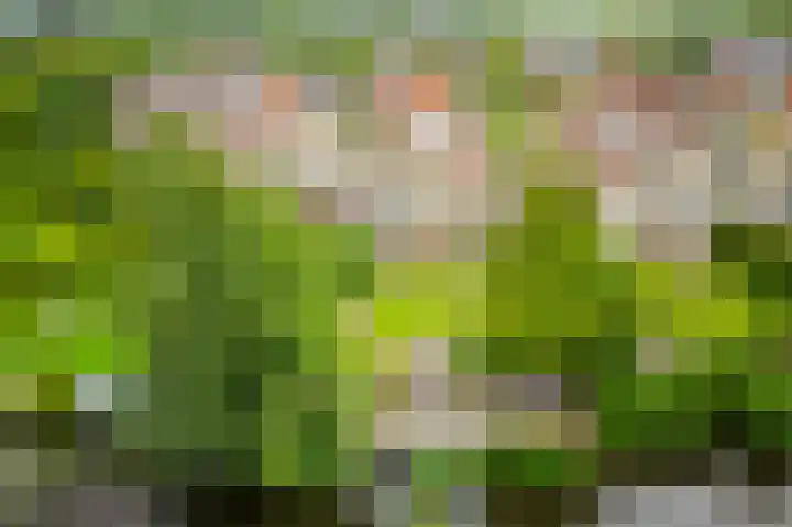 Guus Reitsmahof 11 Oegstgeest thumbnail 5