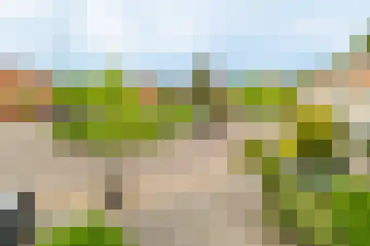 Guus Reitsmahof 11 Oegstgeest thumbnail 51