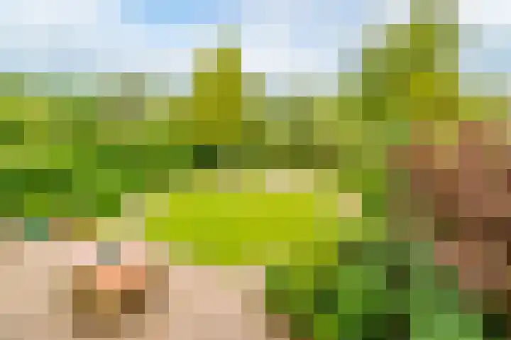 Guus Reitsmahof 11 Oegstgeest thumbnail 53