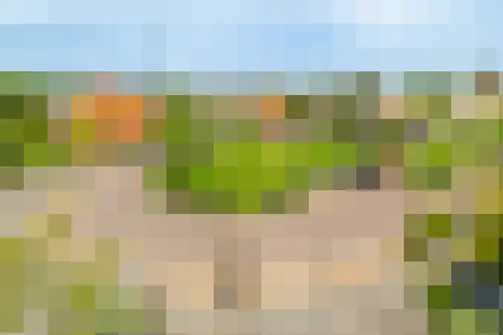 Guus Reitsmahof 11 Oegstgeest thumbnail 54