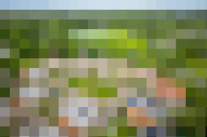 Guus Reitsmahof 11 Oegstgeest thumbnail 56