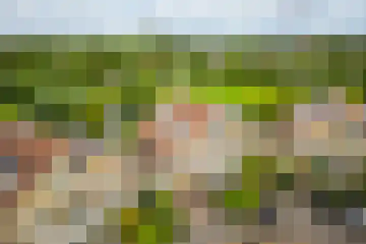 Guus Reitsmahof 11 Oegstgeest thumbnail 57