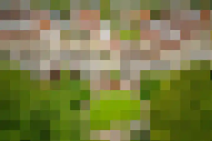Guus Reitsmahof 11 Oegstgeest thumbnail 58