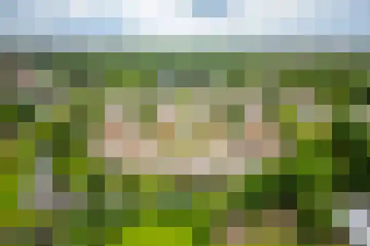Guus Reitsmahof 11 Oegstgeest thumbnail 59