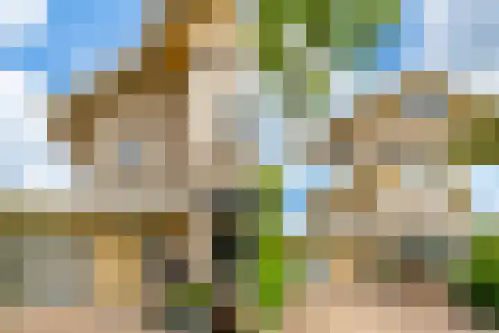 Guus Reitsmahof 11 Oegstgeest thumbnail 60