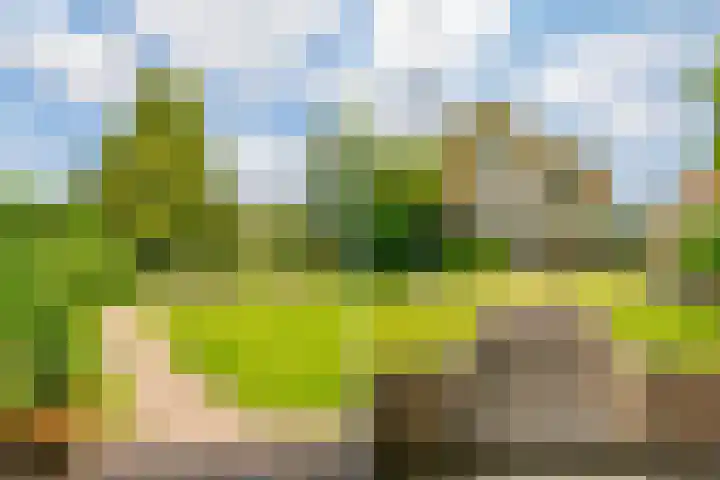 Guus Reitsmahof 11 Oegstgeest thumbnail 61