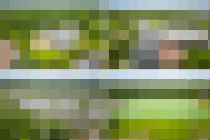 Guus Reitsmahof 11 Oegstgeest thumbnail 62