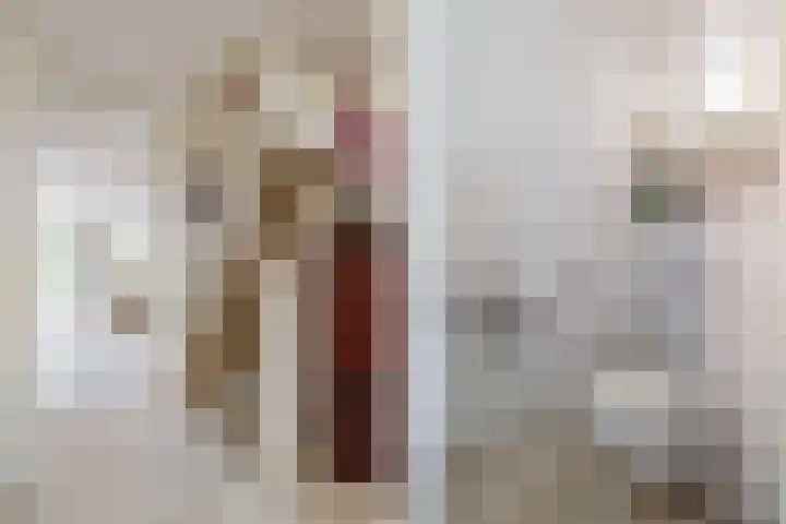 Guus Reitsmahof 11 Oegstgeest thumbnail 7