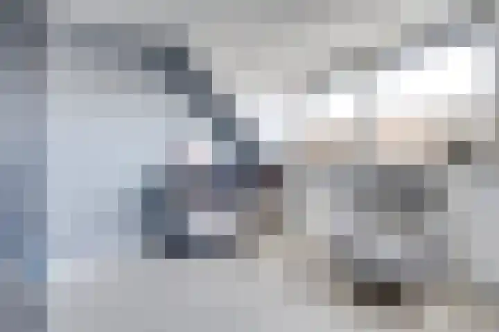 Guus Vleugelplantsoen 11 Utrecht thumbnail 26