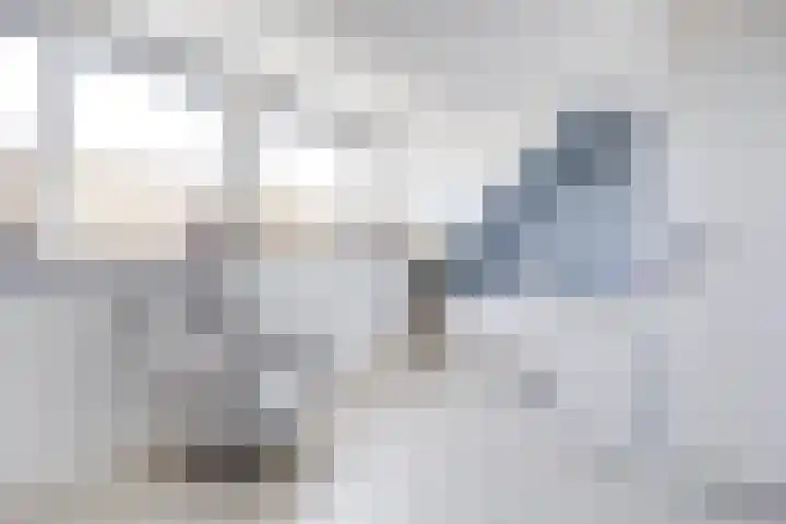 Guus Vleugelplantsoen 11 Utrecht thumbnail 27