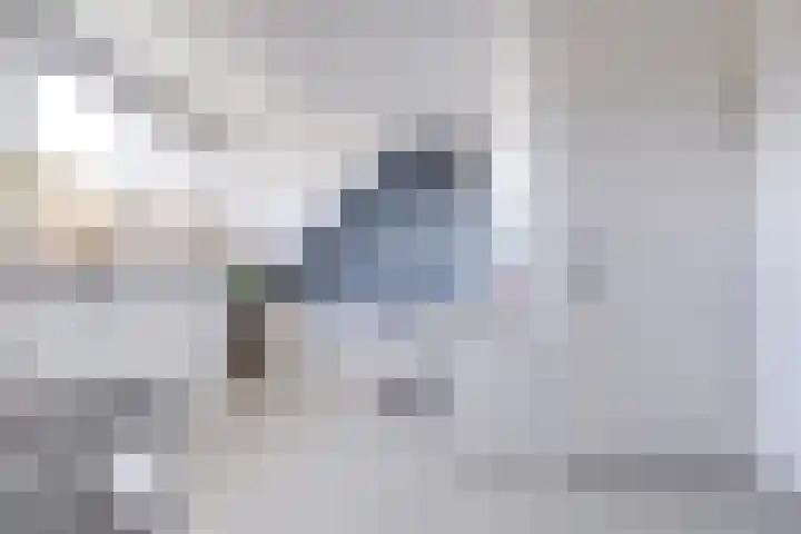 Guus Vleugelplantsoen 11 Utrecht thumbnail 28