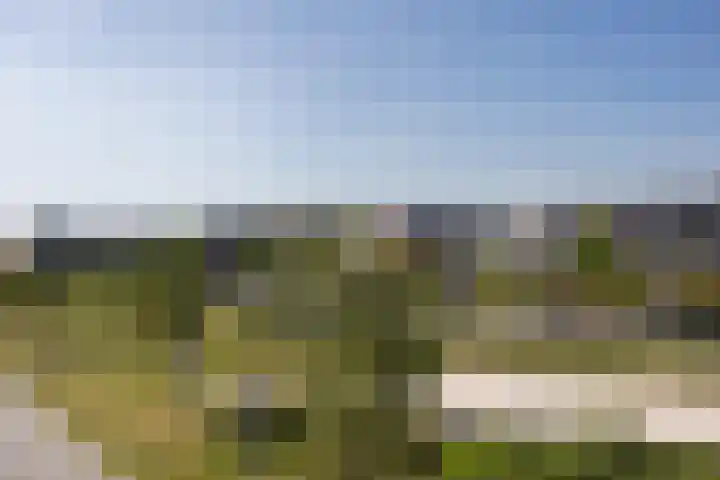 Guus Vleugelplantsoen 11 Utrecht thumbnail 32