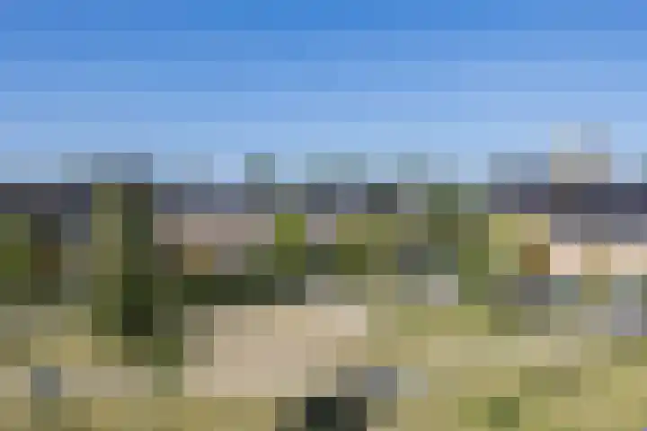 Guus Vleugelplantsoen 11 Utrecht thumbnail 33
