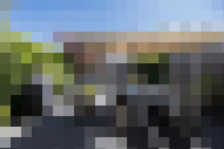 Guus Vleugelplantsoen 11 Utrecht thumbnail 35