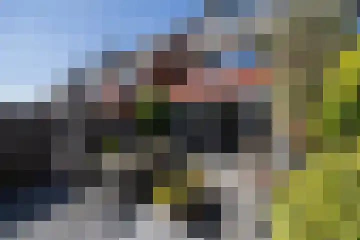 Guus Vleugelplantsoen 11 Utrecht thumbnail 41
