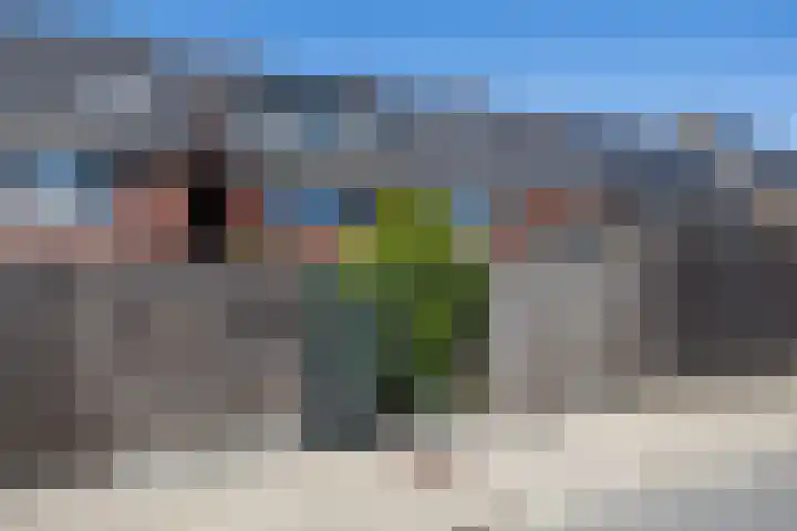 Guus Vleugelplantsoen 11 Utrecht thumbnail 44