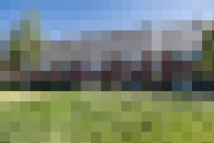 Guus Vleugelplantsoen 11 Utrecht thumbnail 46