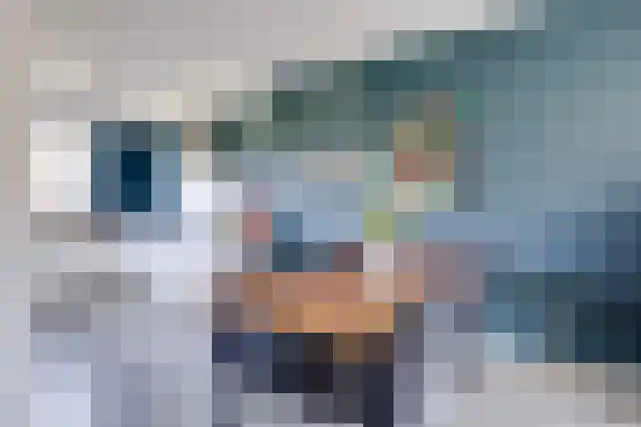 Guus Vleugelplantsoen 11 Utrecht thumbnail 6