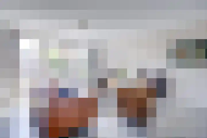 Guus Vleugelplantsoen 11 Utrecht thumbnail 7