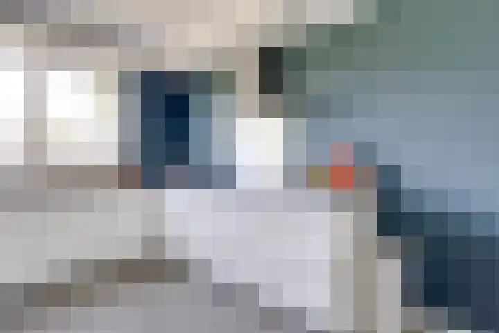 Guus Vleugelplantsoen 11 Utrecht thumbnail 9