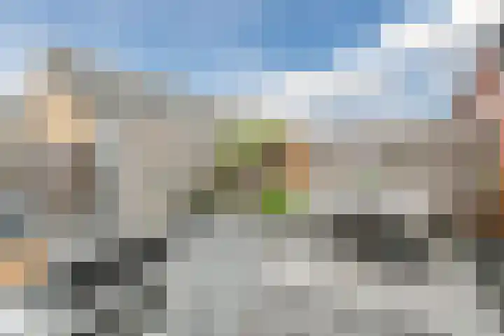 Guus Vleugelplantsoen 13 Utrecht thumbnail 11