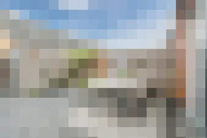 Guus Vleugelplantsoen 13 Utrecht thumbnail 13