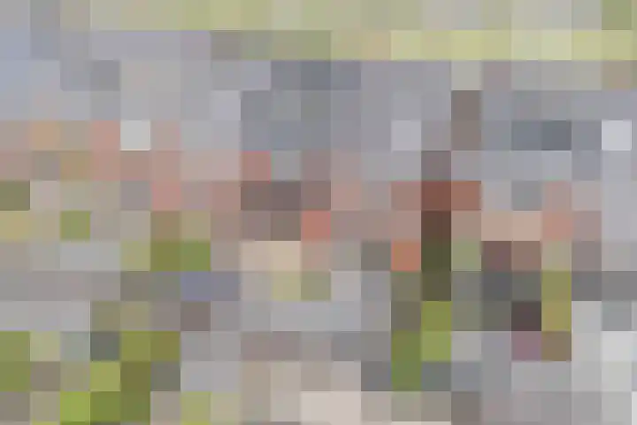 Guus Vleugelplantsoen 13 Utrecht thumbnail 14