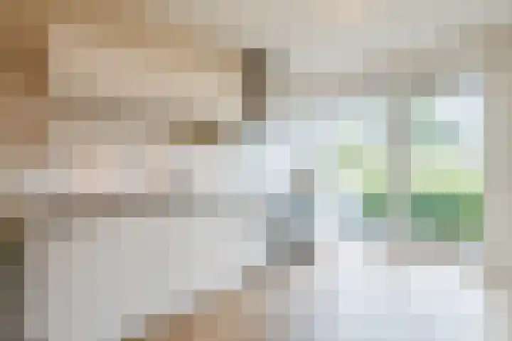 Guus Vleugelplantsoen 13 Utrecht thumbnail 22