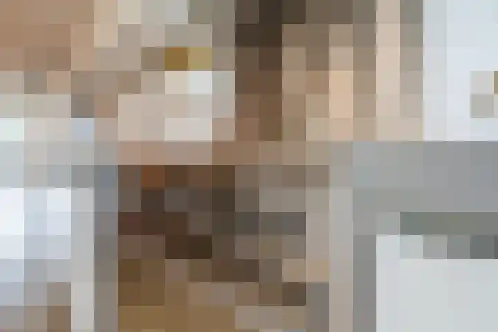 Guus Vleugelplantsoen 13 Utrecht thumbnail 23