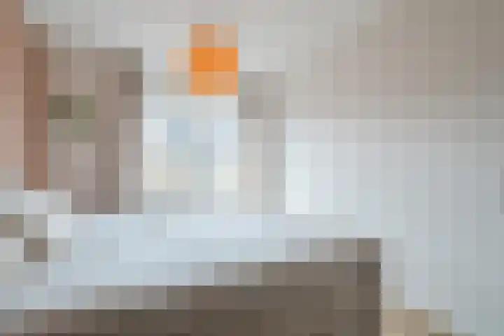 Guus Vleugelplantsoen 13 Utrecht thumbnail 29