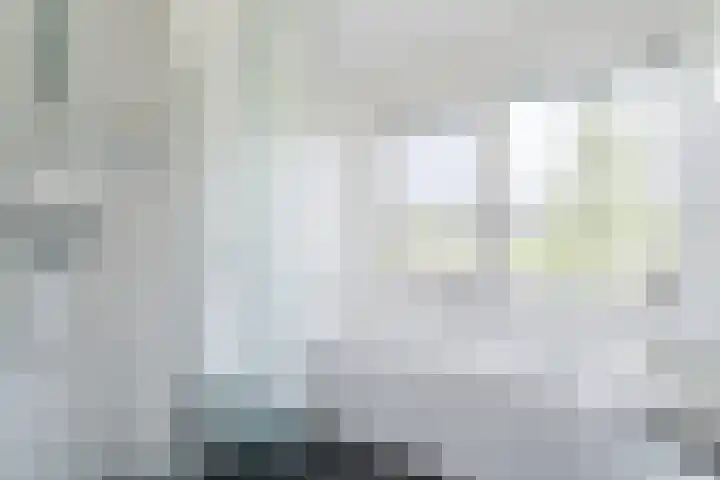 Guus Vleugelplantsoen 13 Utrecht thumbnail 32