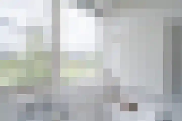 Guus Vleugelplantsoen 13 Utrecht thumbnail 34