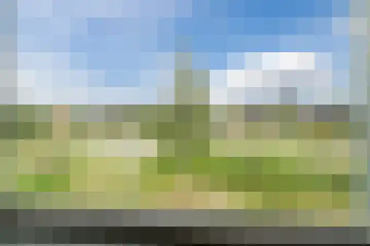 Guus Vleugelplantsoen 13 Utrecht thumbnail 36