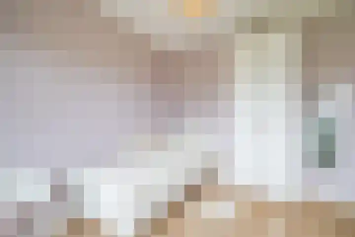 Guus Vleugelplantsoen 13 Utrecht thumbnail 37